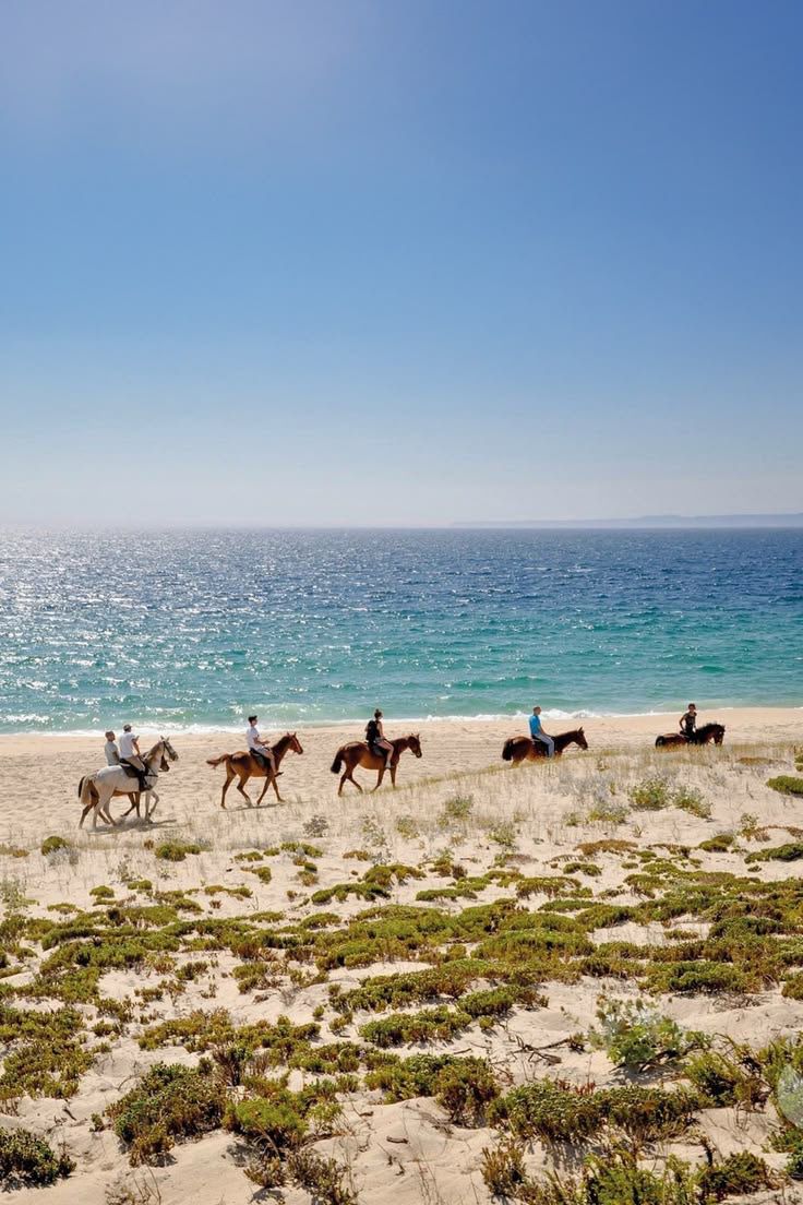 Horseback rides at dawn